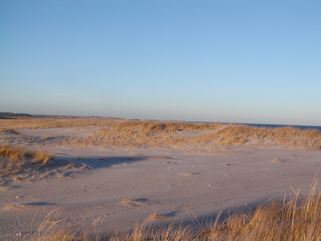 No description provided for: /2006/10-12/1210-monomoy/photo16.html