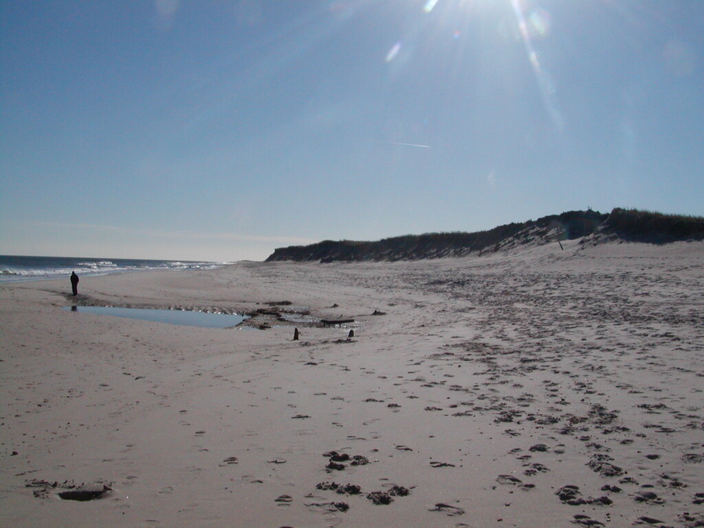 No description provided for: /2006/10-12/1210-nauset/_1/photo05.html