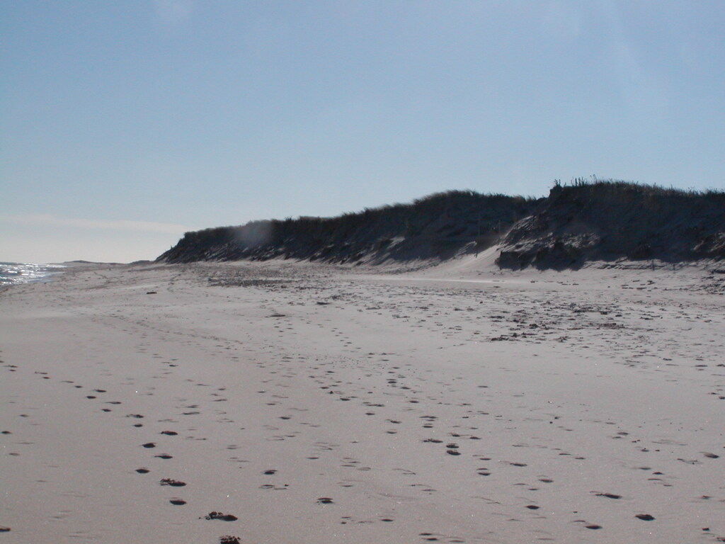 No description provided for: /2006/10-12/1210-nauset/_1/photo06.html