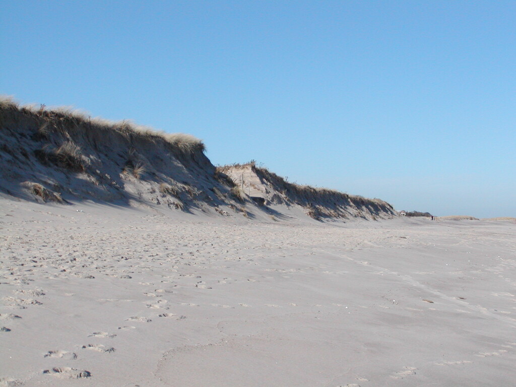 No description provided for: /2006/10-12/1210-nauset/_1/photo10.html