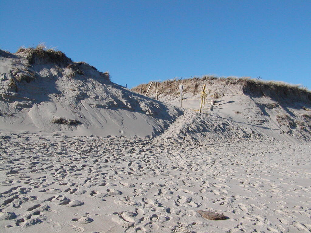 No description provided for: /2006/10-12/1210-nauset/_1/photo12.html