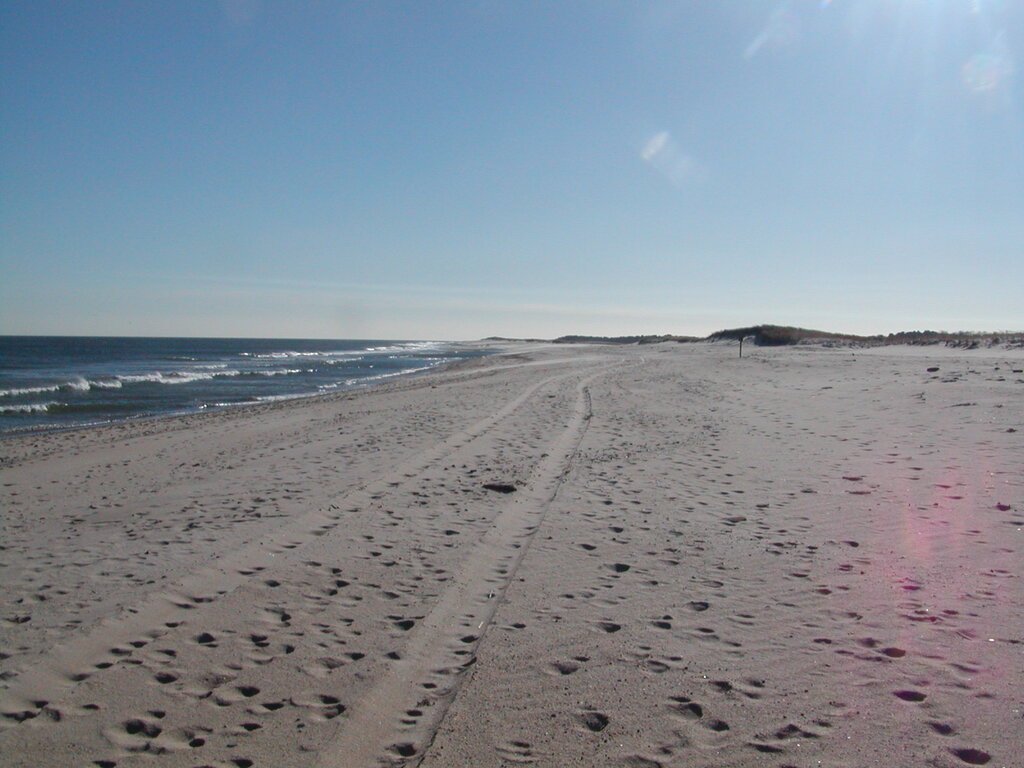 No description provided for: /2006/10-12/1210-nauset/_1/photo13.html