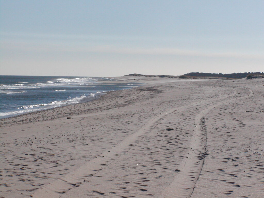 No description provided for: /2006/10-12/1210-nauset/_1/photo14.html