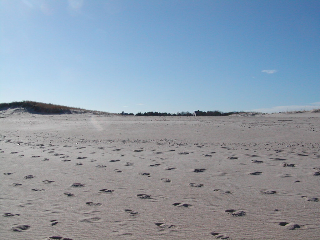 No description provided for: /2006/10-12/1210-nauset/_2/photo15.html