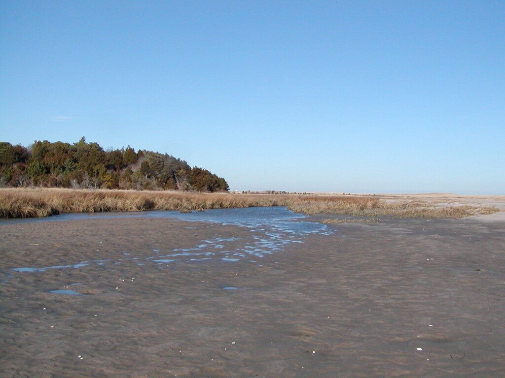 No description provided for: /2006/10-12/1210-nauset/_2/photo26.html