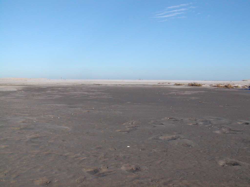 No description provided for: /2006/10-12/1210-nauset/_2/photo27.html