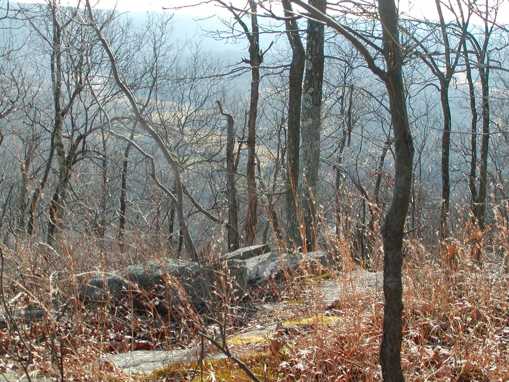 No description provided for: /2006/10-12/1229-ledges-hike/photo05.html