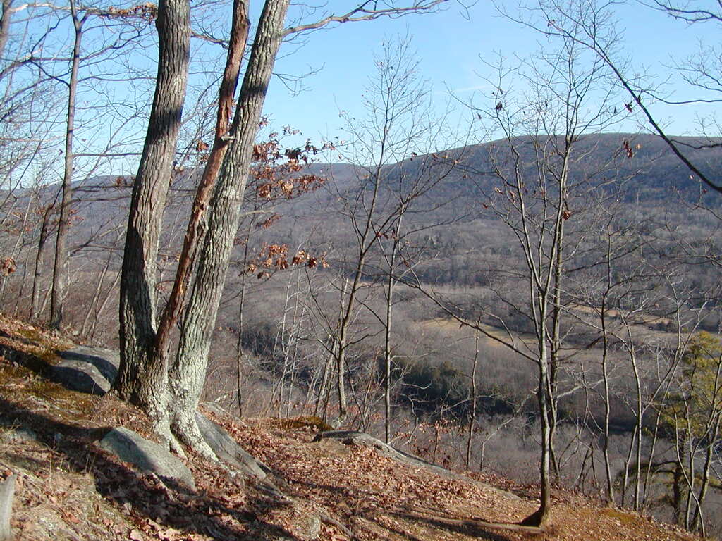 No description provided for: /2006/10-12/1229-ledges-hike/photo10.html