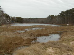 Image file: photo08.jpg