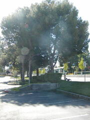 Image file: photo03.jpg