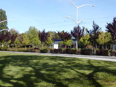 Image file: photo10.jpg