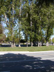 Image file: photo12.jpg