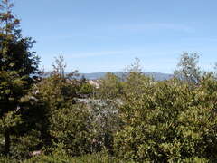 Image file: photo14.jpg