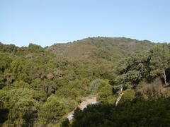 Image file: photo01.jpg