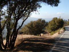 Image file: photo08.jpg