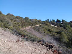 Image file: photo11.jpg