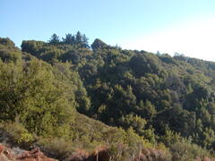 Image file: photo12.jpg