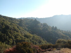 Image file: photo13.jpg