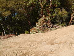 Image file: photo18.jpg