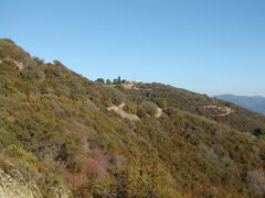 Image file: photo21.jpg