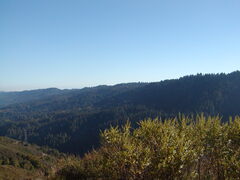 Image file: photo23.jpg