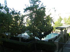 Image file: photo05.jpg