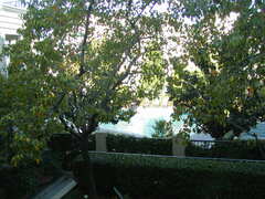 Image file: photo06.jpg