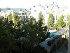 Image file: photo08.jpg