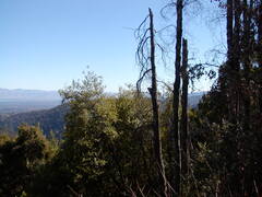 Image file: photo02.jpg