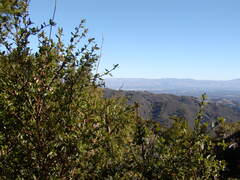 Image file: photo04.jpg