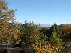 Image file: photo02.jpg