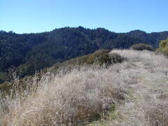 Image file: photo05.jpg