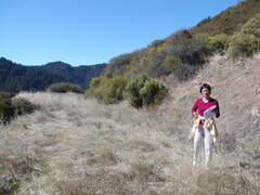 Image file: photo06.jpg