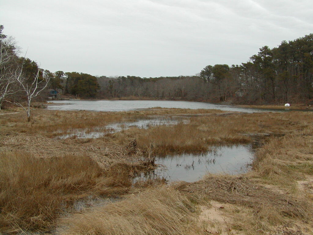 No description provided for: /2007/04-06/0419-quanset-pond/photo08.html