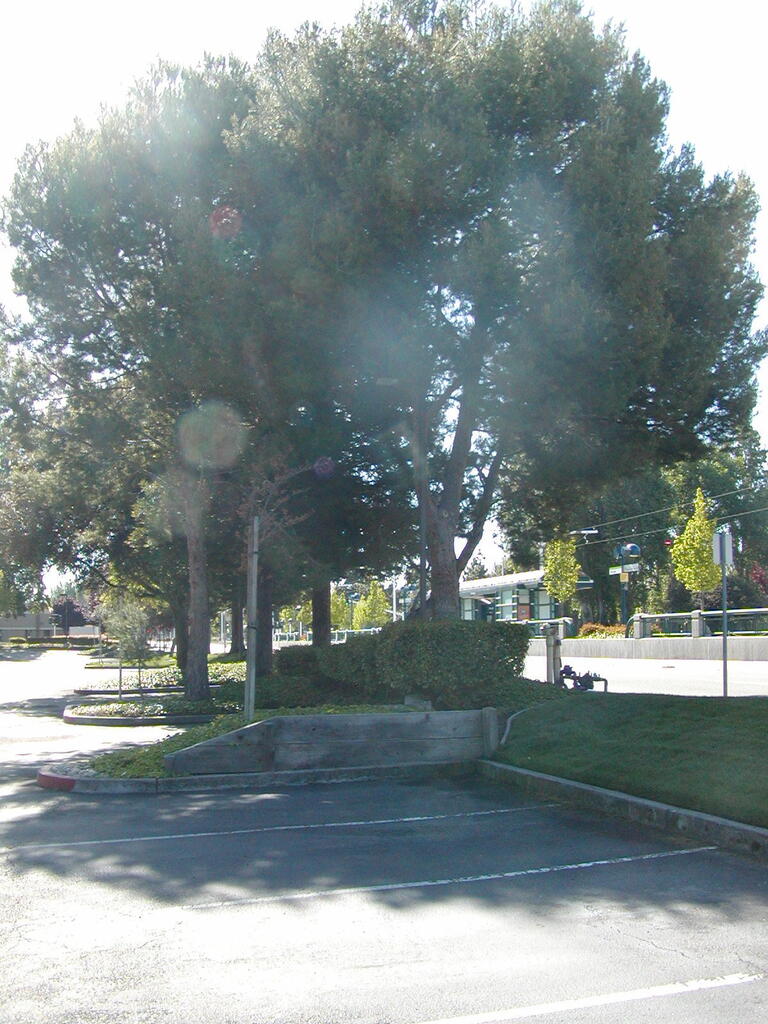 No description provided for: /2007/04-06/0506-sunnyvale/_1/photo03.html