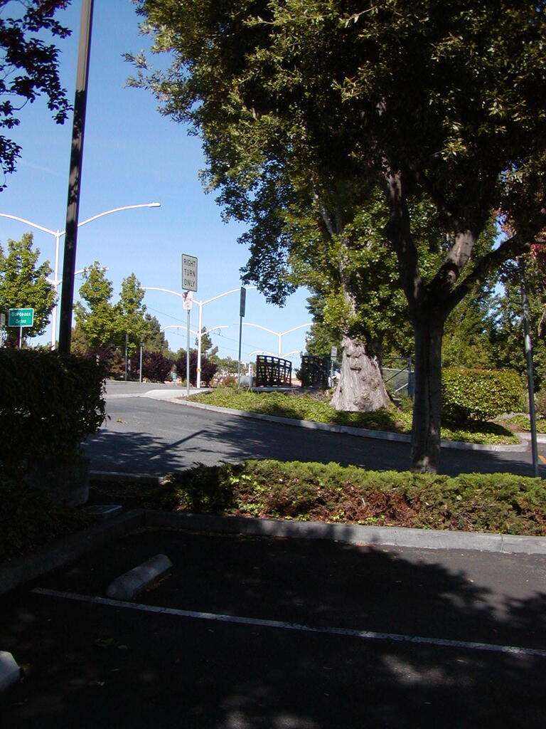 No description provided for: /2007/04-06/0506-sunnyvale/_1/photo06.html