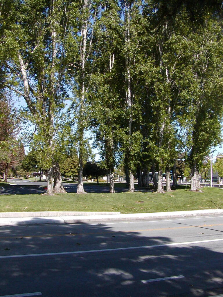 No description provided for: /2007/04-06/0506-sunnyvale/_1/photo12.html