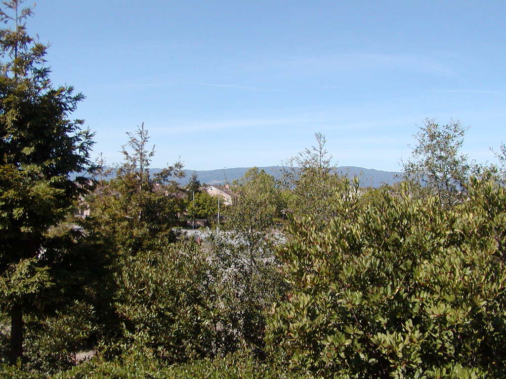 No description provided for: /2007/04-06/0506-sunnyvale/_1/photo14.html