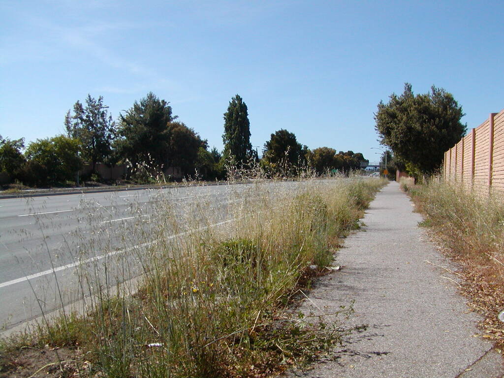 No description provided for: /2007/04-06/0506-sunnyvale/_2/photo19.html