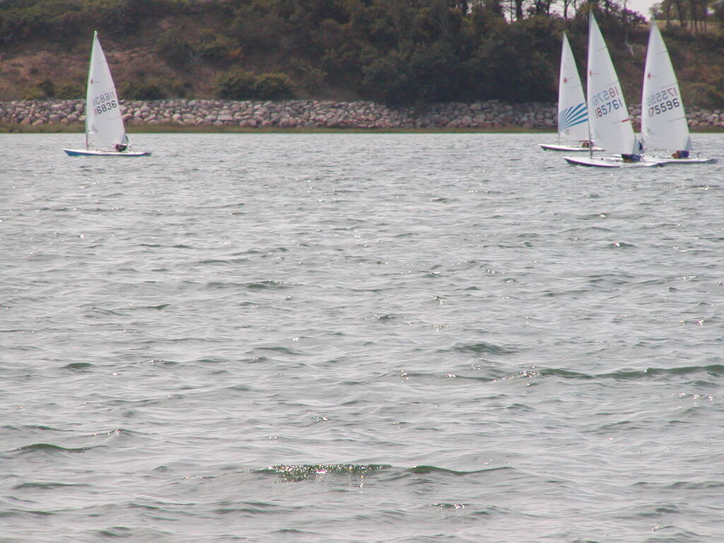 No description provided for: /2007/07-09/0824-cyc-laser/photo15.html