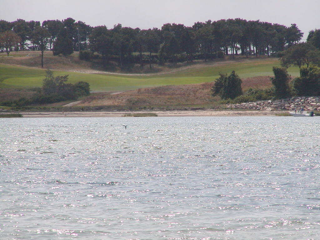 No description provided for: /2007/07-09/0824-fat-guy-sailing/photo09.html