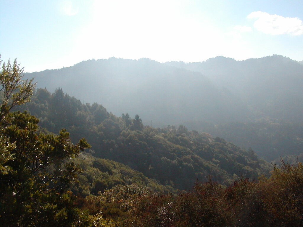 No description provided for: /2007/10-12/1014-bohlman/_1/photo01.html