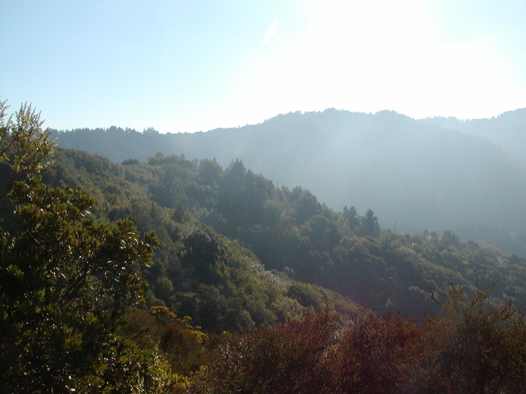 No description provided for: /2007/10-12/1014-bohlman/_1/photo02.html