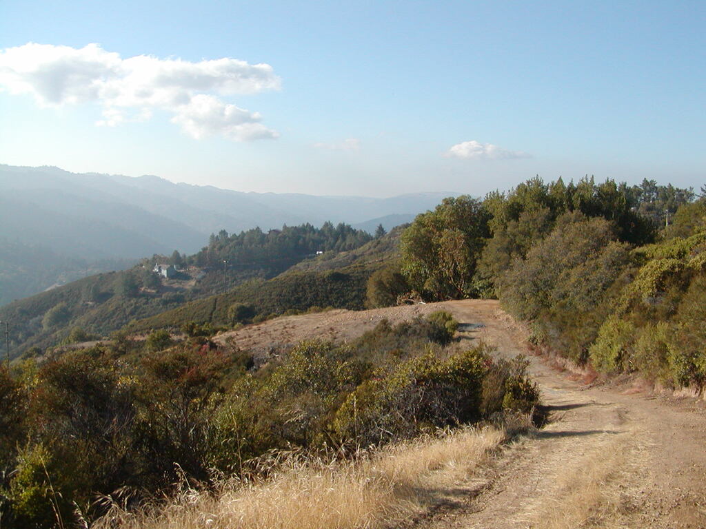 No description provided for: /2007/10-12/1014-bohlman/_1/photo09.html