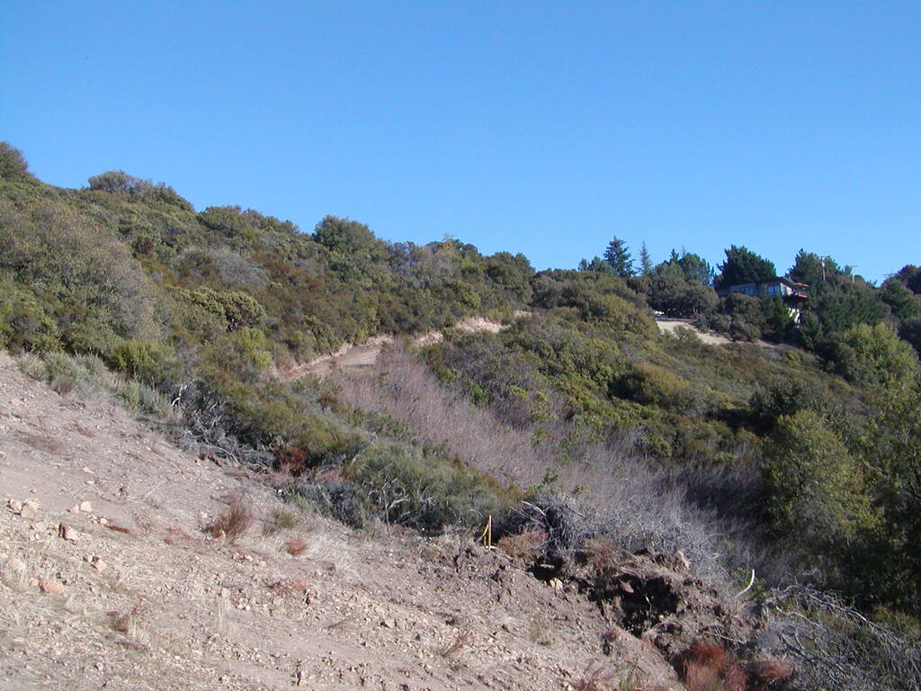 No description provided for: /2007/10-12/1014-bohlman/_1/photo11.html