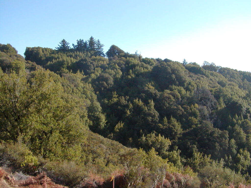 No description provided for: /2007/10-12/1014-bohlman/_1/photo12.html