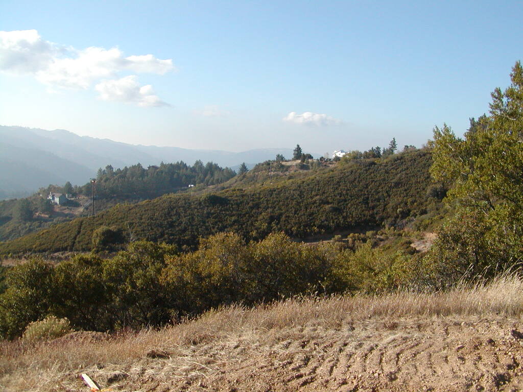 No description provided for: /2007/10-12/1014-bohlman/_2/photo16.html