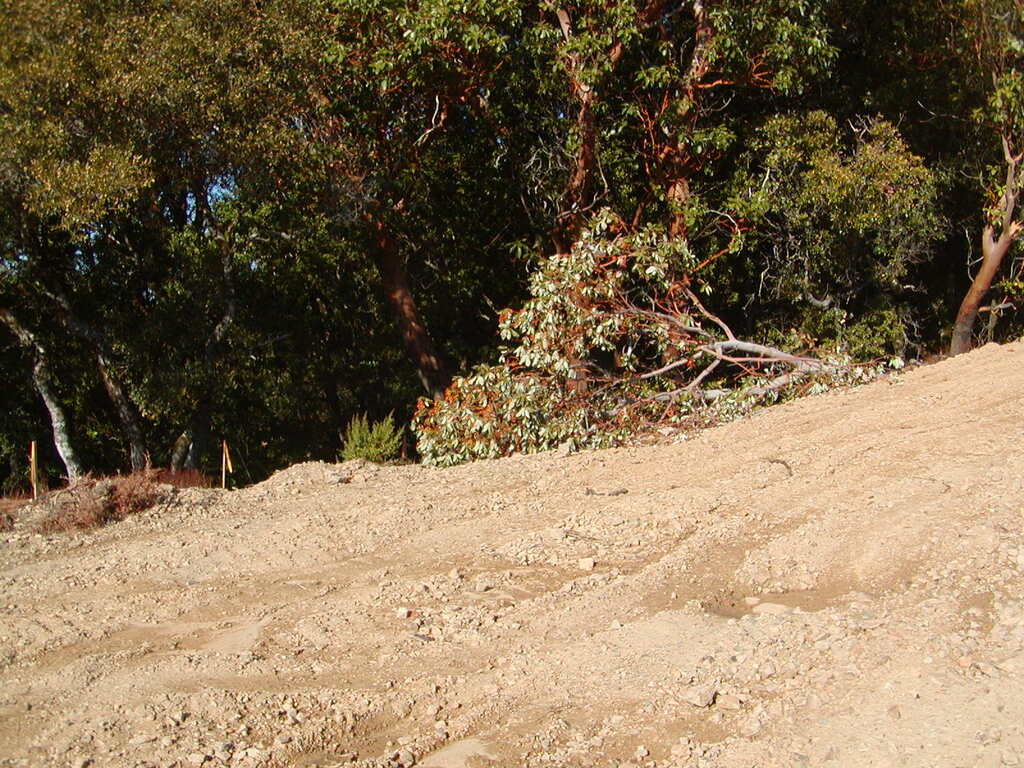 No description provided for: /2007/10-12/1014-bohlman/_2/photo18.html