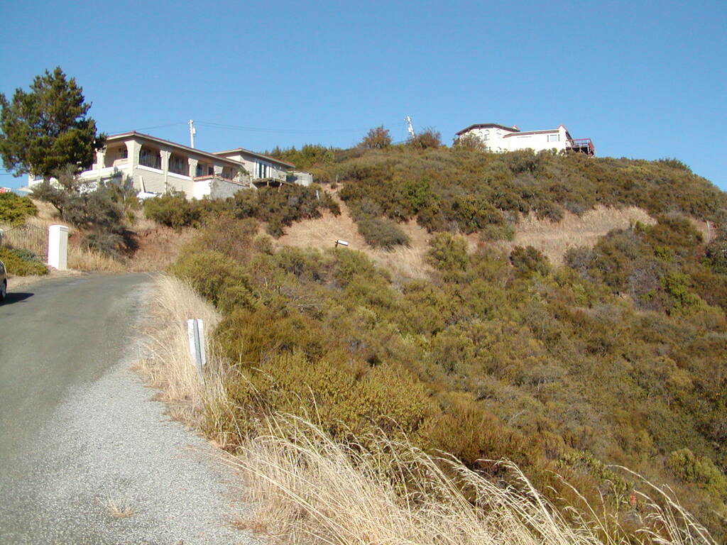 No description provided for: /2007/10-12/1014-bohlman/_2/photo20.html