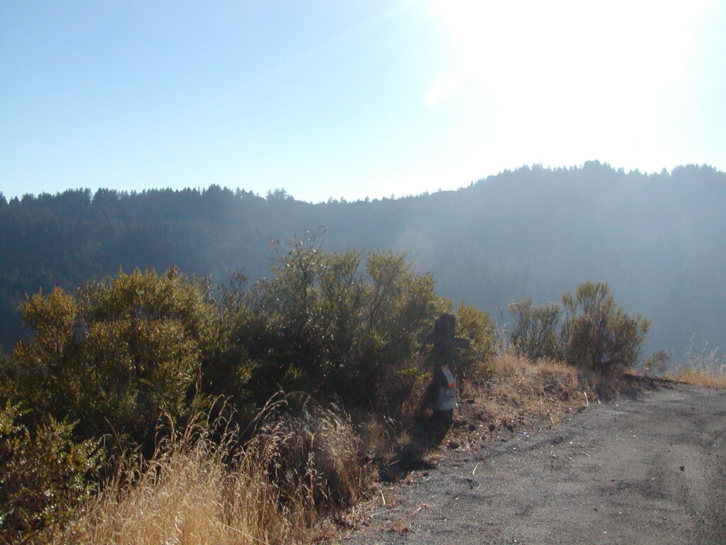 No description provided for: /2007/10-12/1014-bohlman/_2/photo25.html